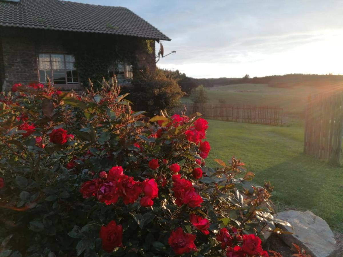 Rocks & Roses Farm Stay Lochiel Exterior photo