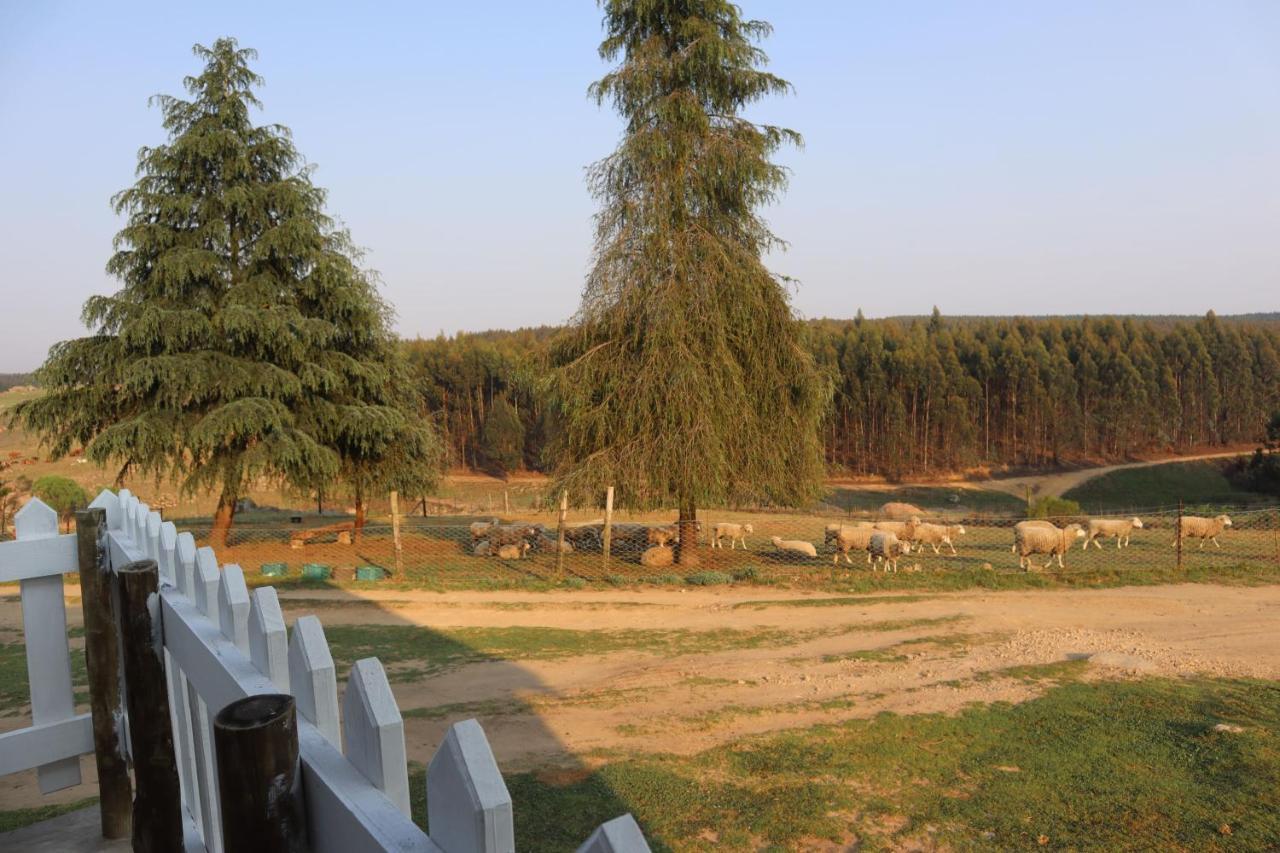 Rocks & Roses Farm Stay Lochiel Exterior photo